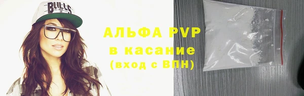 СК Покачи