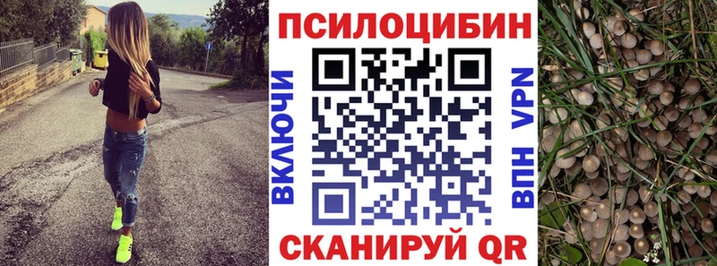 Галлюциногенные грибы Psilocybine cubensis  МЕГА маркетплейс  Старица 