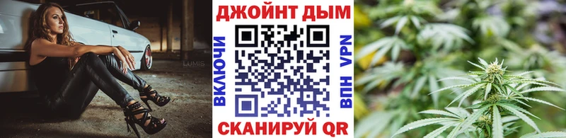 Марихуана сатива  Старица 